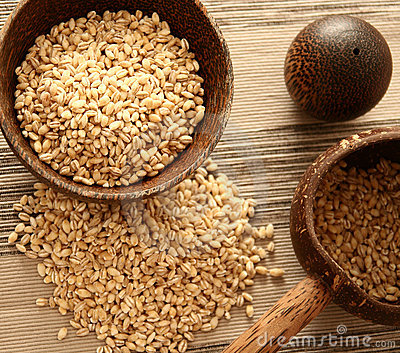 Tweede vrucht, namelijk gerst.